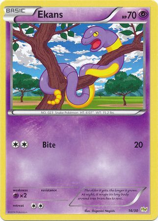 Ekans (16/30) [XY: Trainer Kit - Noivern] | Good Games North