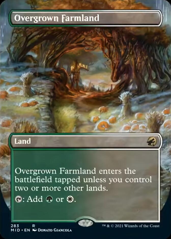 Overgrown Farmland (Borderless) [Innistrad: Midnight Hunt] | Good Games North