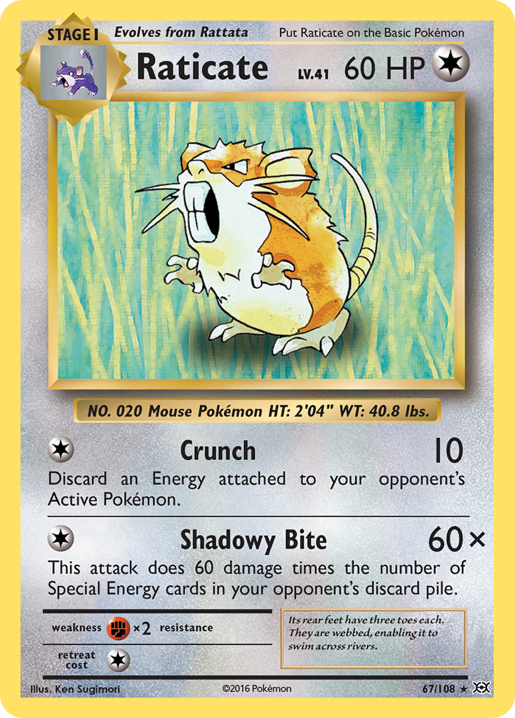 Raticate (67/108) [XY: Evolutions] | Good Games North