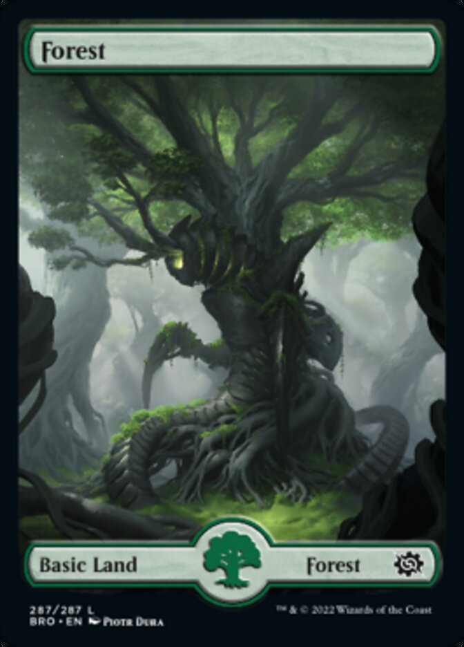 Forest (287) [The Brothers' War] | Good Games North
