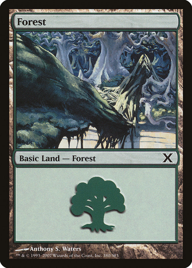 Forest (380) [Tenth Edition] | Good Games North