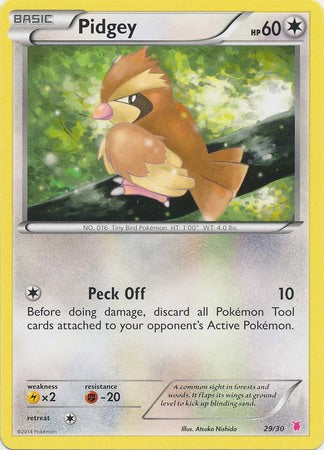 Pidgey (29/30) [XY: Trainer Kit 1 - Wigglytuff] | Good Games North
