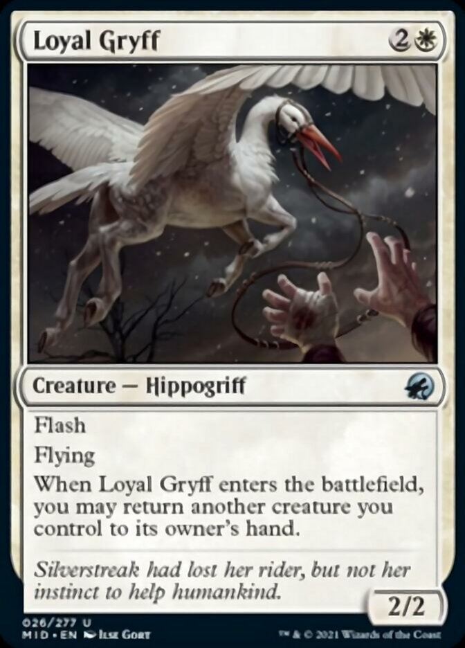 Loyal Gryff [Innistrad: Midnight Hunt] | Good Games North