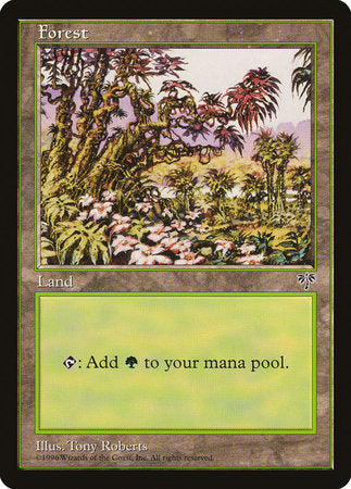 Forest (Red Tree Leaves) [Mirage] | Good Games North