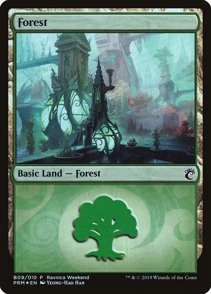 Forest (B09) [Ravnica Allegiance Guild Kit] | Good Games North