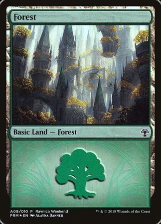 Forest - Selesnya (A09) [GRN Ravnica Weekend] | Good Games North