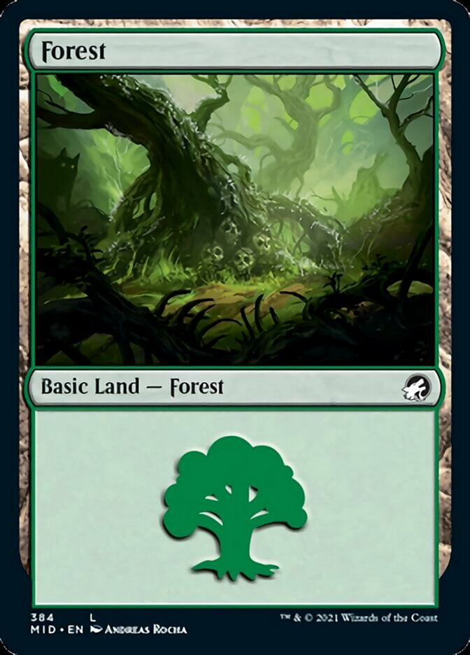 Forest (384) [Innistrad: Midnight Hunt] | Good Games North