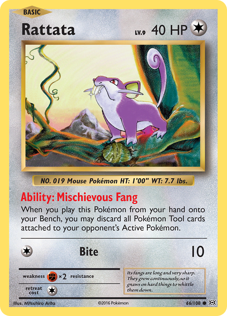 Rattata (66/108) [XY: Evolutions] | Good Games North