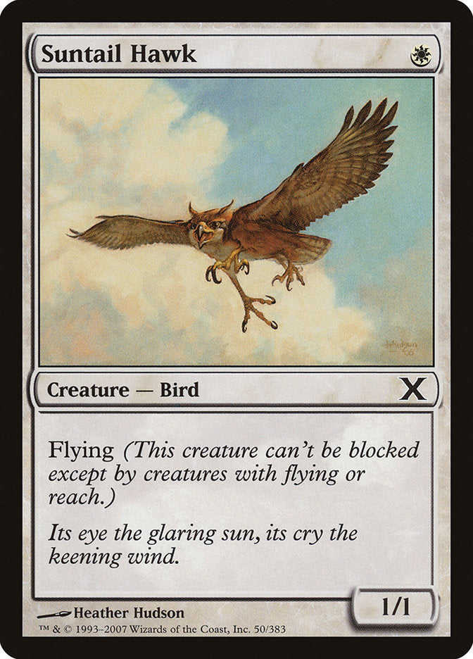 Suntail Hawk [Tenth Edition] | Good Games North