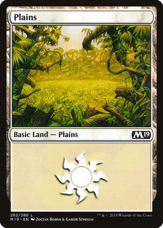 Plains (262) [Core Set 2019] | Good Games North