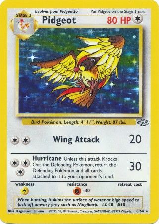 Pidgeot (8/64) [Jungle Unlimited] | Good Games North