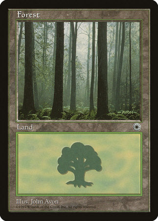 Forest (Ferns on Ground) [Portal] | Good Games North