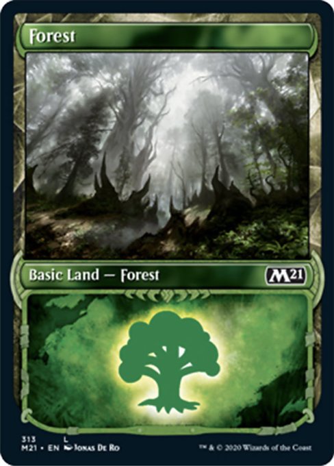 Forest (Showcase) [Core Set 2021] | Good Games North