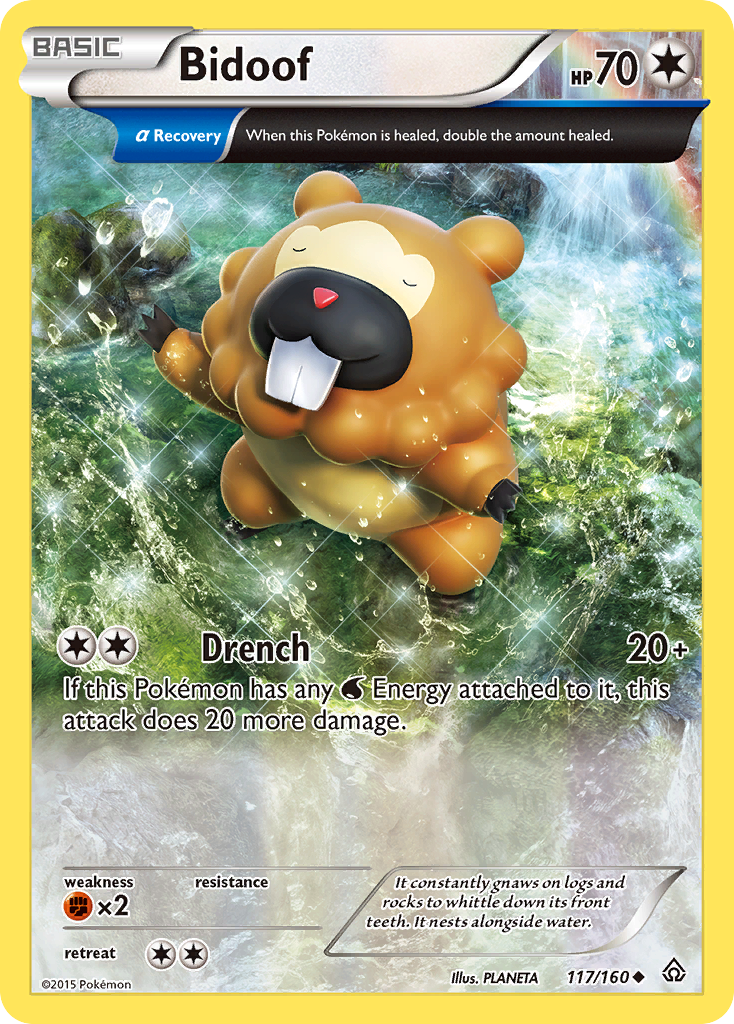 Bidoof (117/160) [XY: Primal Clash] | Good Games North