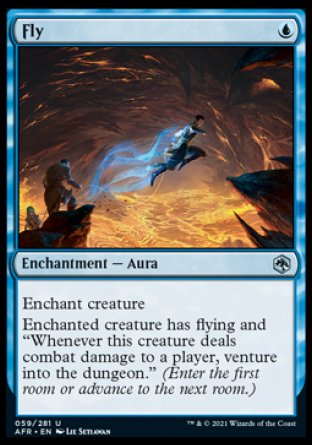 Fly [Dungeons & Dragons: Adventures in the Forgotten Realms] | Good Games North