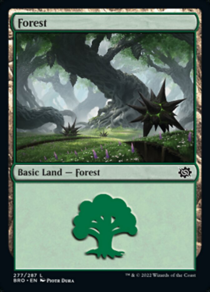 Forest (277) [The Brothers' War] | Good Games North