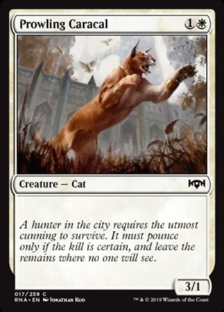 Prowling Caracal [Ravnica Allegiance] | Good Games North