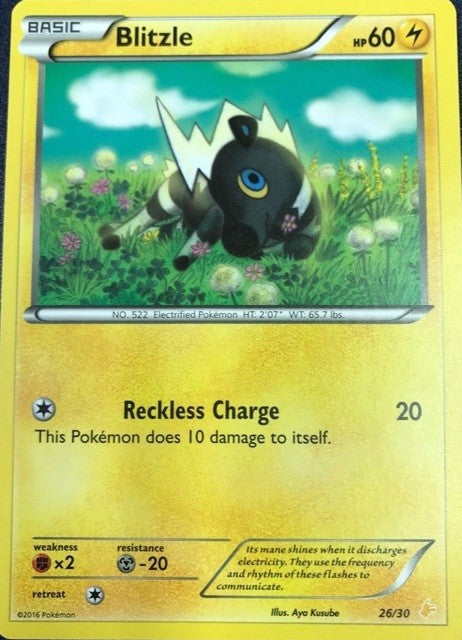 Blitzle (26/30) [XY: Trainer Kit 3 - Pikachu Libre] | Good Games North