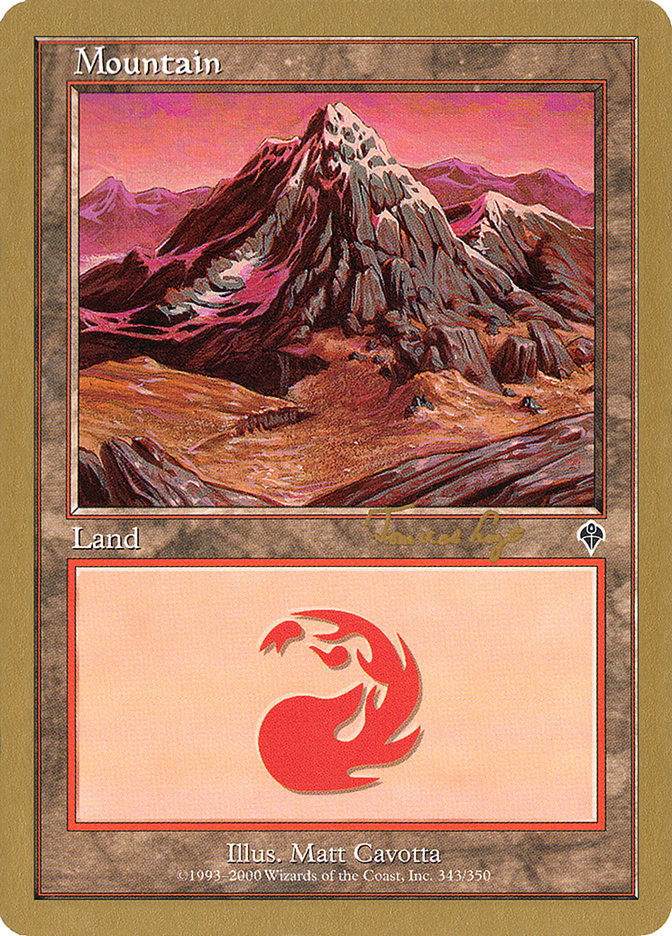 Mountain (tvdl343) (Tom van de Logt) [World Championship Decks 2001] | Good Games North