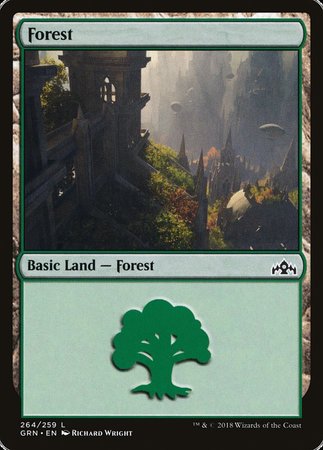 Forest [Guilds of Ravnica] | Good Games North