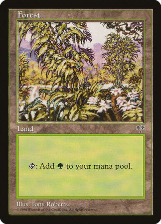 Forest (White Flowers Right) [Mirage] | Good Games North