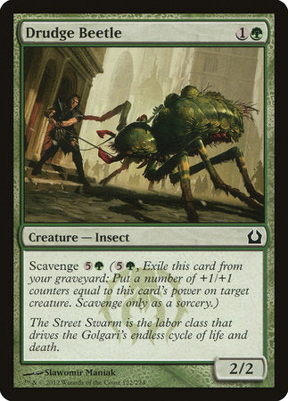 Drudge Beetle [Return to Ravnica] | Good Games North