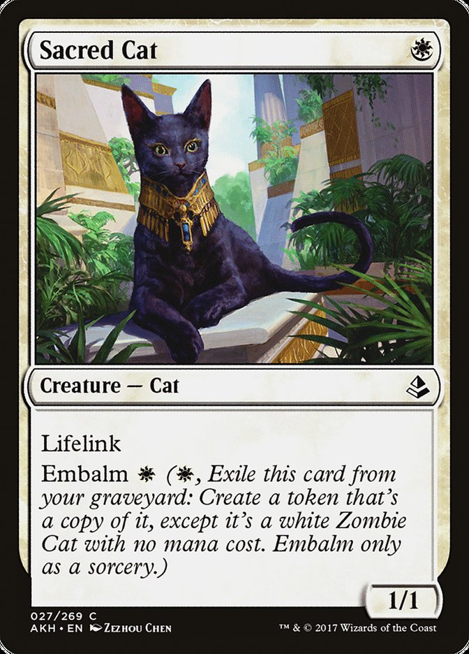 Sacred Cat [Amonkhet] | Good Games North