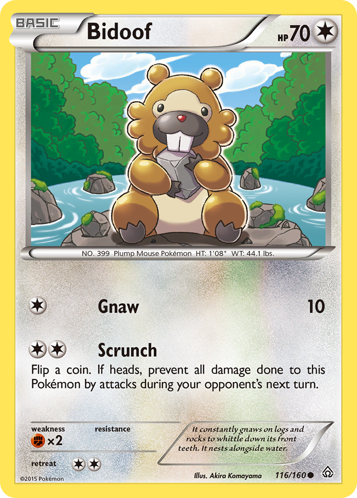 Bidoof (116/160) [XY: Primal Clash] | Good Games North