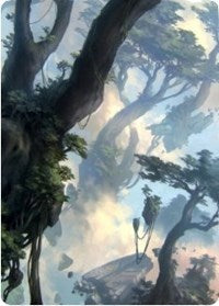 Forest 1 Art Card [Zendikar Rising Art Series] | Good Games North